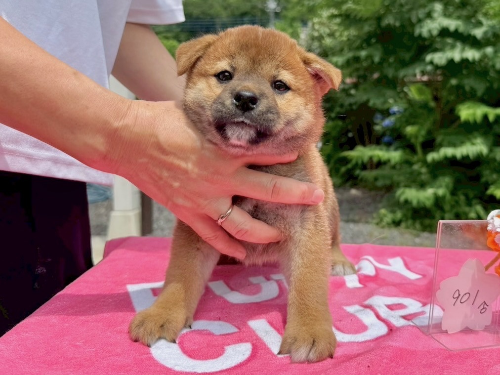 010761de4f6f3a1270e2830420844b83c4f4686e93