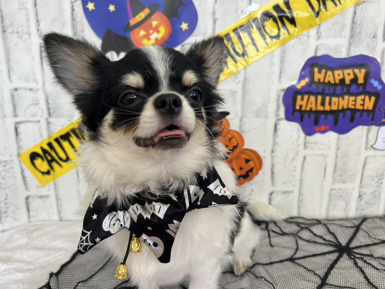 0CJj_rcJlKox5ezmH5tKX4JvXk6ndBDS3VG1OwfuA1d14Aqb0zSNNXju45WyWeamNVC1gXM2fZTZXlDtkx81Ov_2oNMfRbyXl14WkJhq5PtA5N7D59YSOu_AcdzGsbyBdWH1GW1Hzzc1ZjJIrpDCnQ==