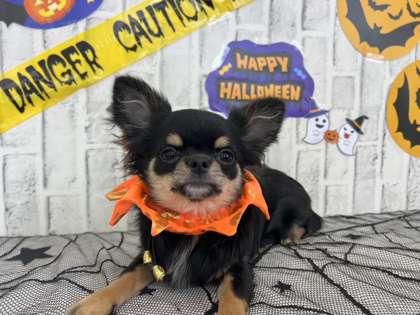 Km5L52yCmbAZaPrBdxGV-0QK_Acyu06HZnAbgo9ki7uTRgYKgm5j038UvlGgoHFxkTb3YAwa35WCuSoL67x-2bdZLBhseMQfzHm89qN6ZJrKkkmIK44Lx-J12bKyBv4skpngZXezwyv0UN-p8nCI8Q==