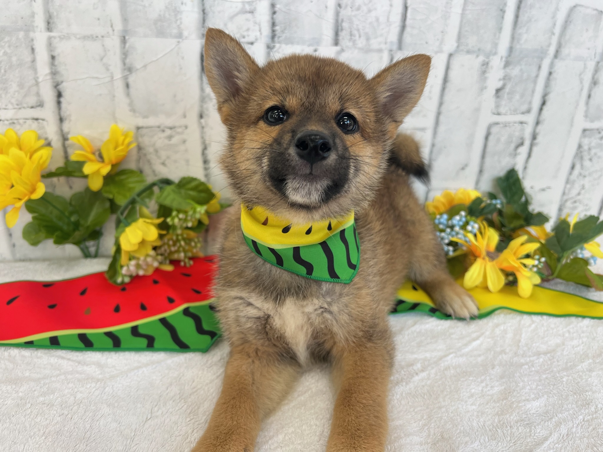 01b139bbcf7af1586c9b213d939bebbacb1fd08d32