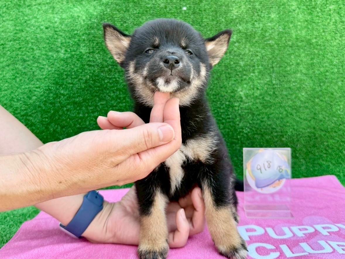 01e8ce92f6dd158bdf7d9f31cf21f52ccb9c0d35f3