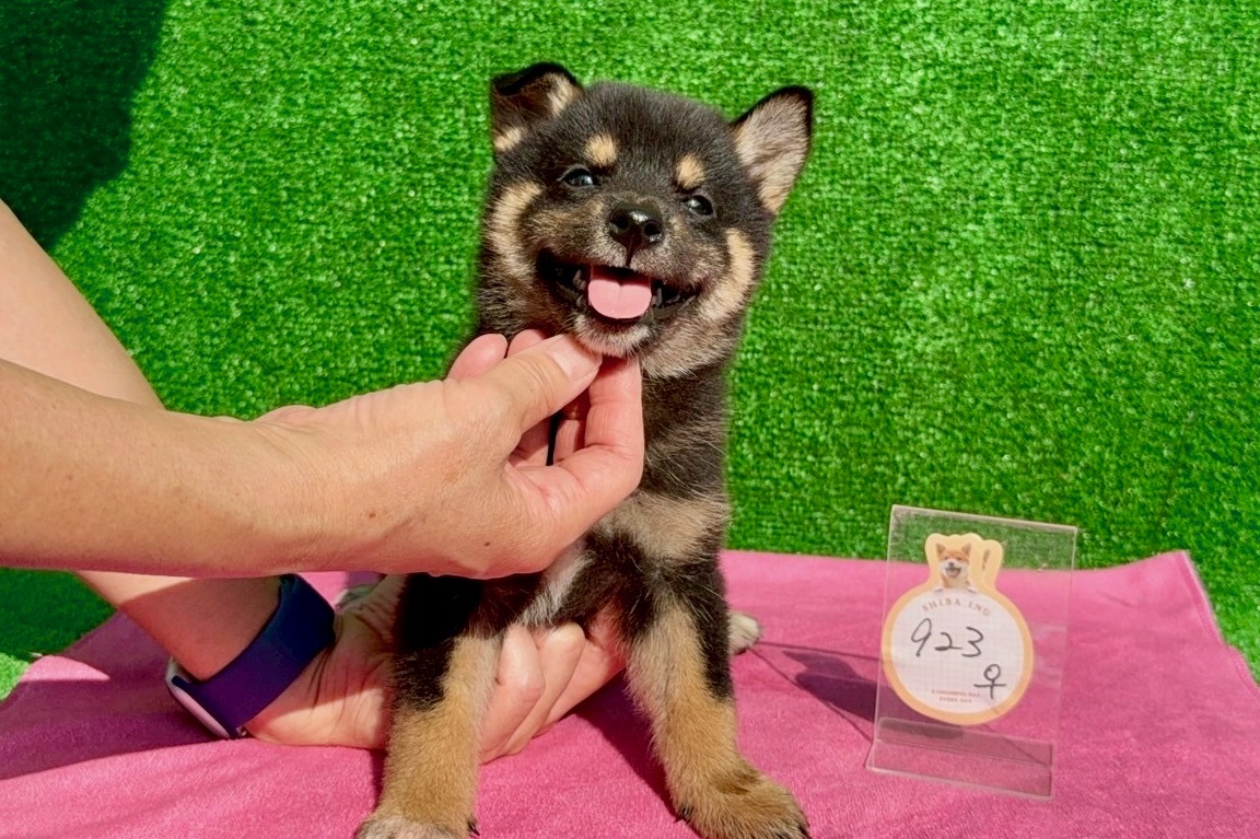 01f30338a18aae8fced8032d097fc445056539e74c