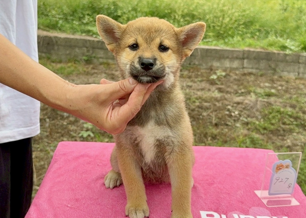 010dd5d225a912019f3ff024907400697a64a97e56