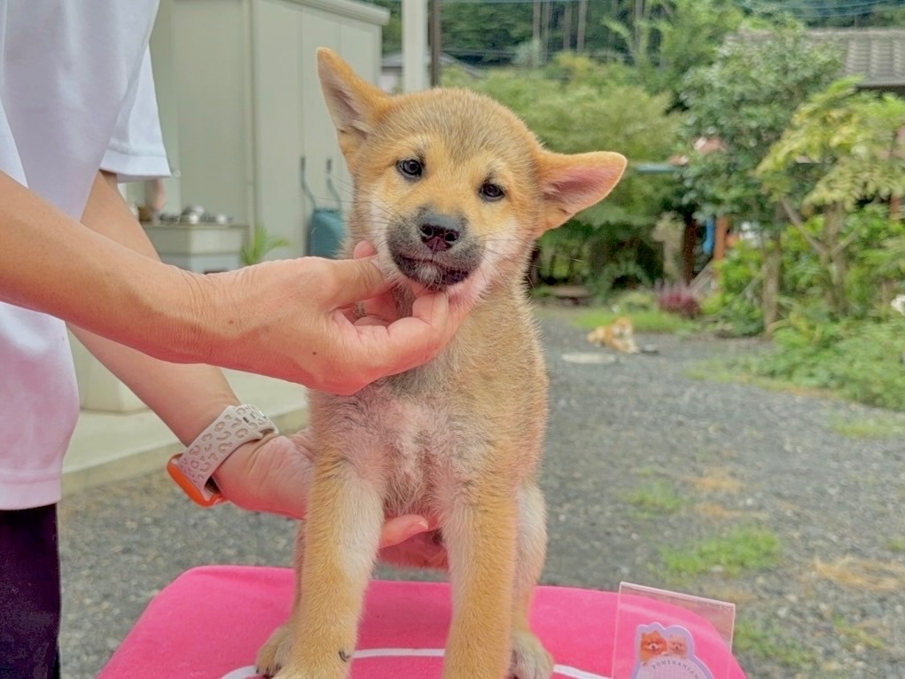 016c06bd06ba5a152e6ecb5044f57c5573c33703fc