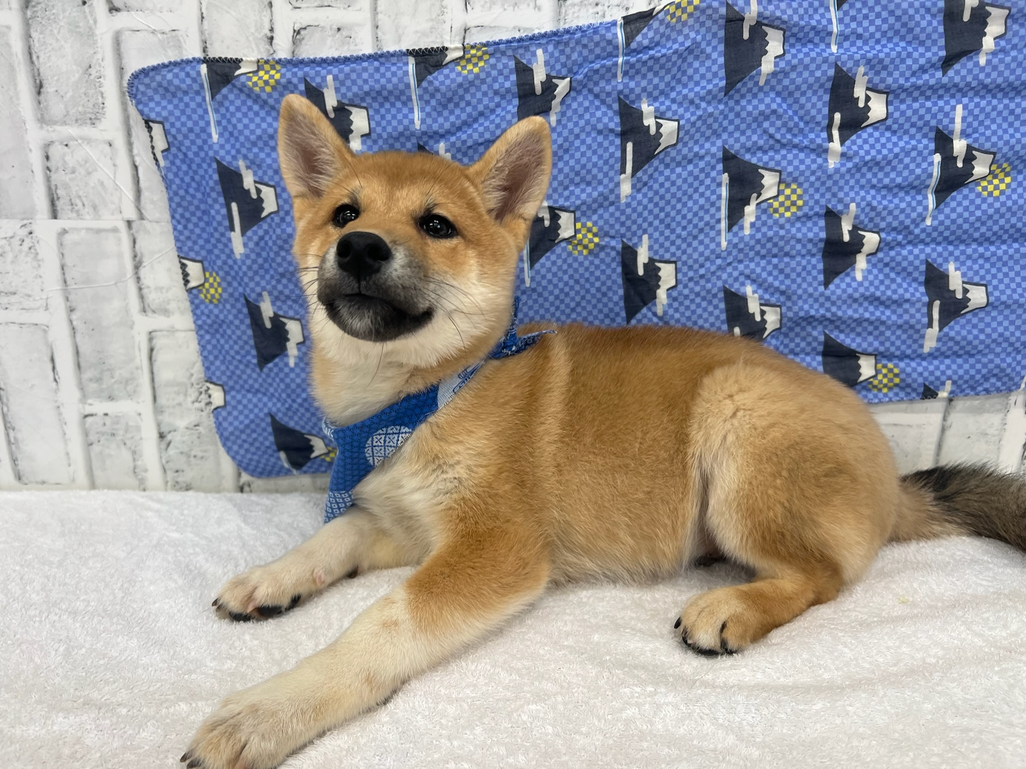 01b587849ce20805f2802663d7a80f473c5bbff72f