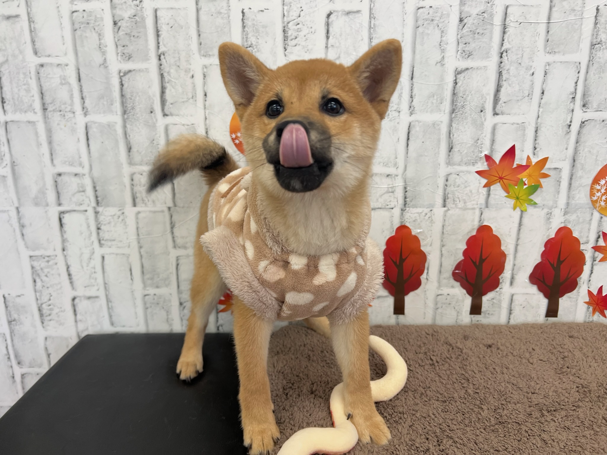 01d087676a5cef6478d2ad005b0b52d119e6bcbba6