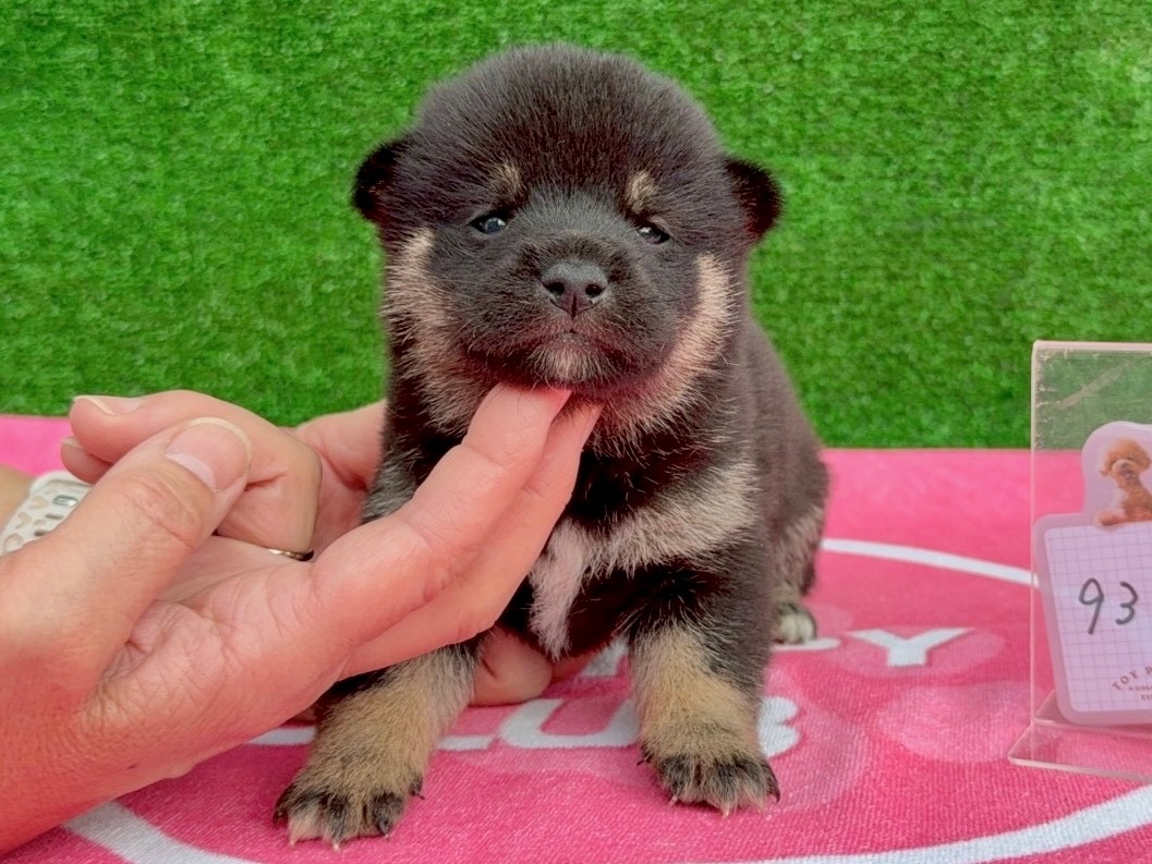 012826ed2637d7adc311ba81d864b9f299228c0669