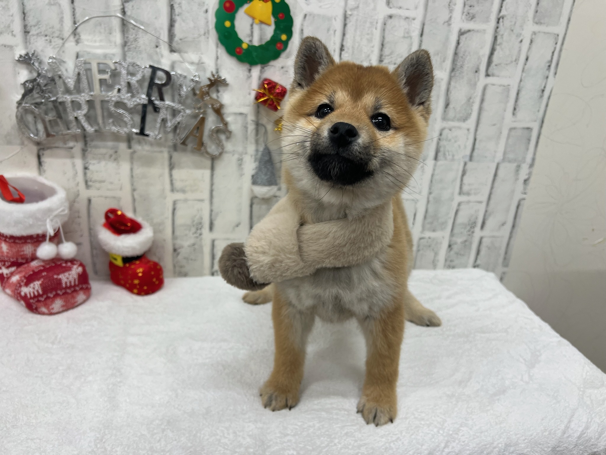 014d8c983ce12d4a96db3a9a1ae53636fa07be9c67