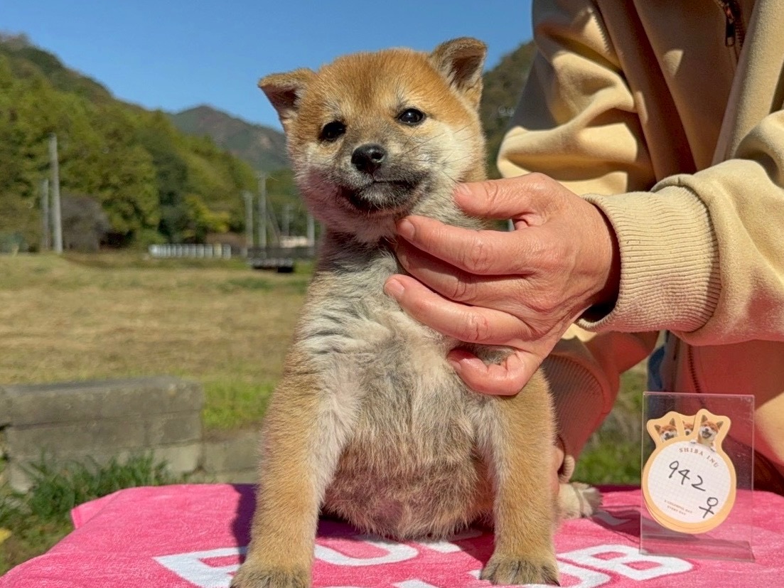 01f9eb42e1e1563736e7afa28b588b22a391600c46