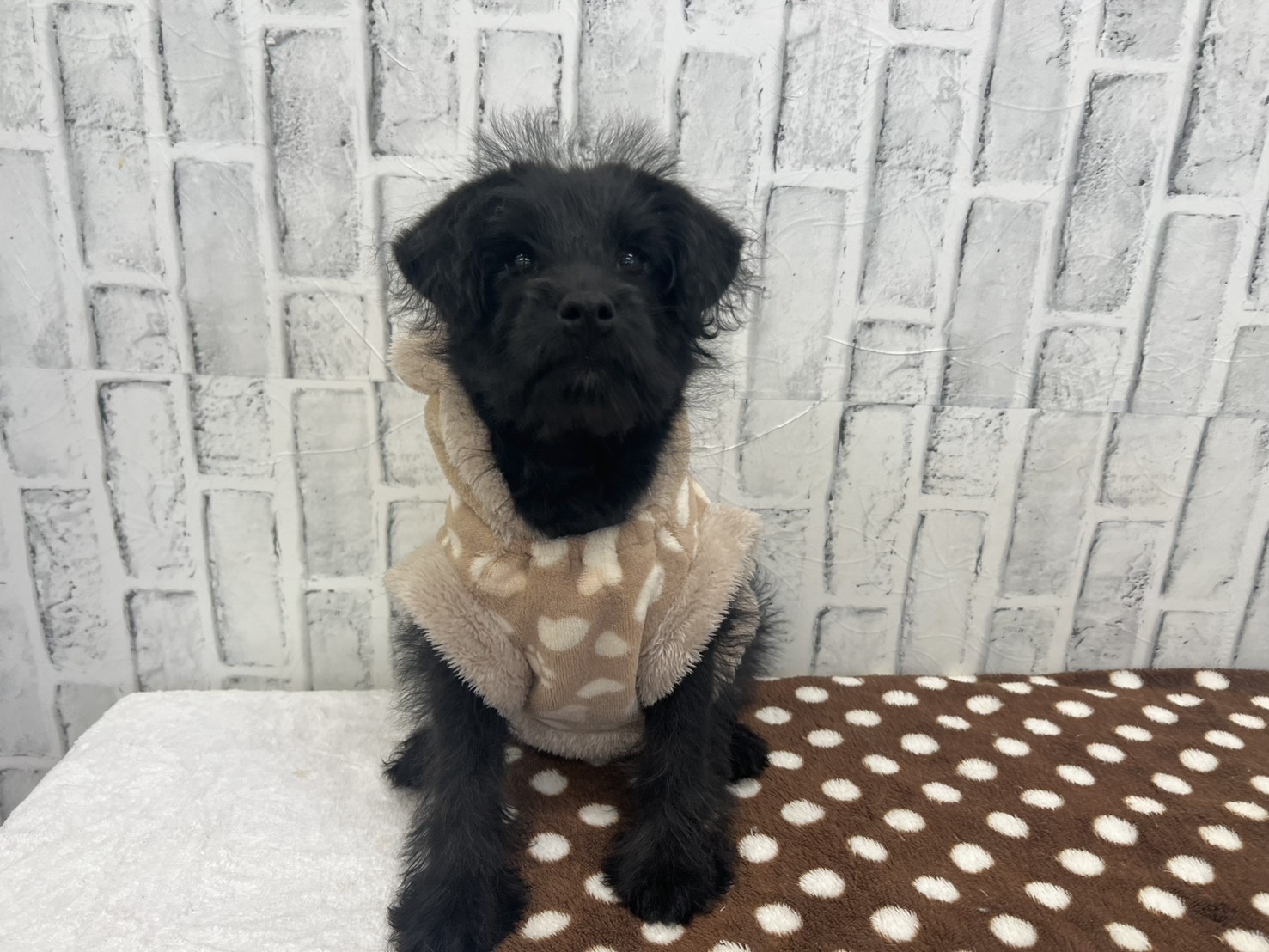 1ZO3jsd5vp9K40kGlgGcWZ6MKhtqis-ydNJyQ55UoJ7dkmK9ux79KqrfDujC-7oO-6uIbLilU9OCwn-tjWXu9eBM7pG1hB4ZCJdhrI8yZdIkihNeQanBDsgvRK6YG5OOhQ7XXNlMIvOKyR-Uke5ipw==