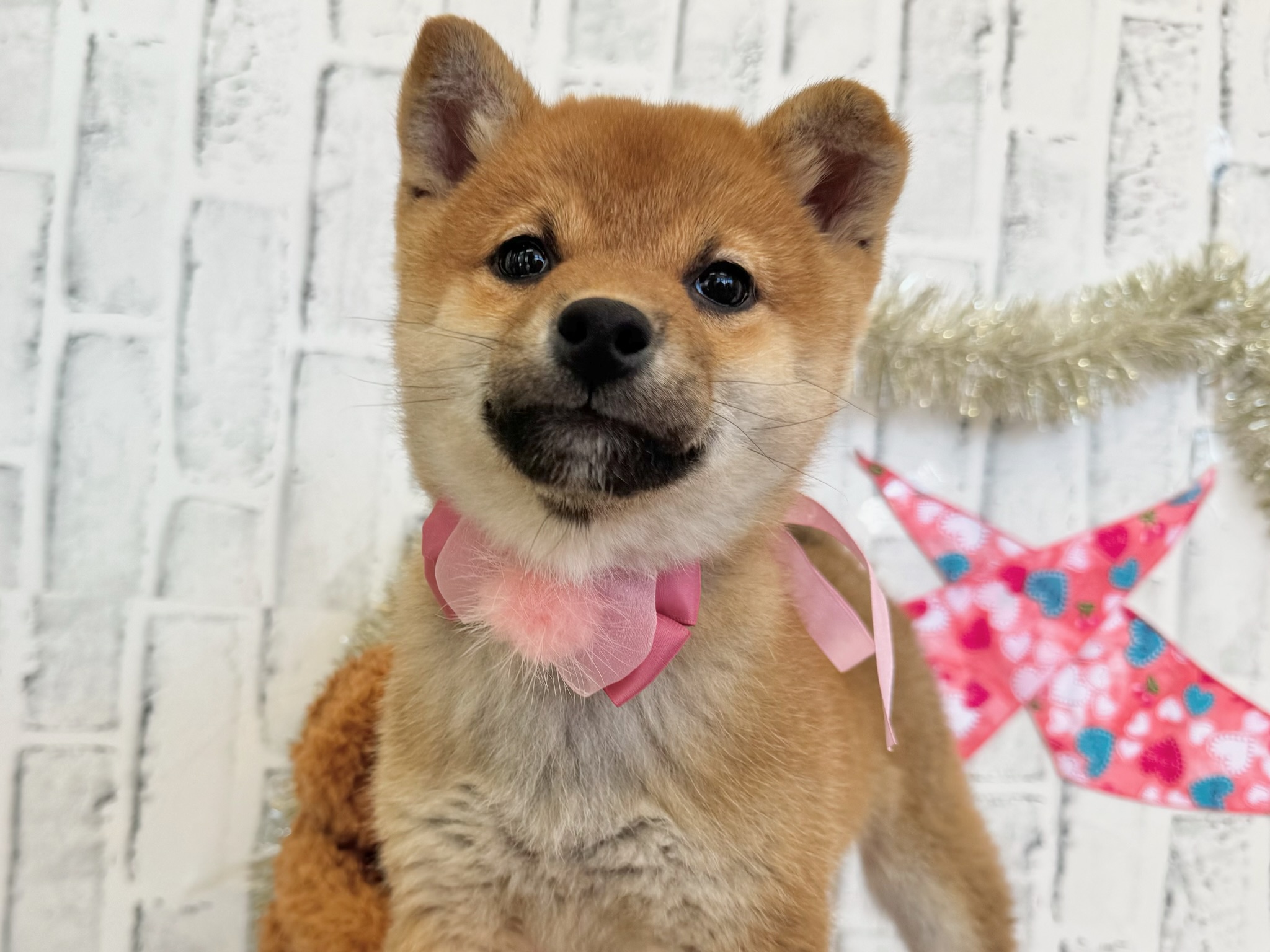 0109c7097877f4ebc68fd7fc063d9e63f4e58cd6b0