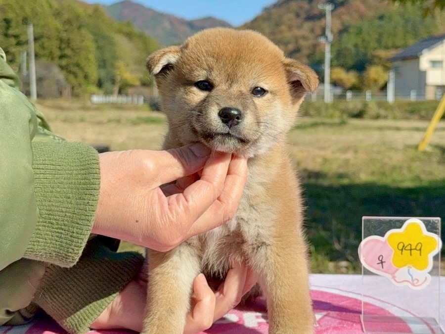 0143a28b593b41ab81f5dcdf809ce61ab28c669b96