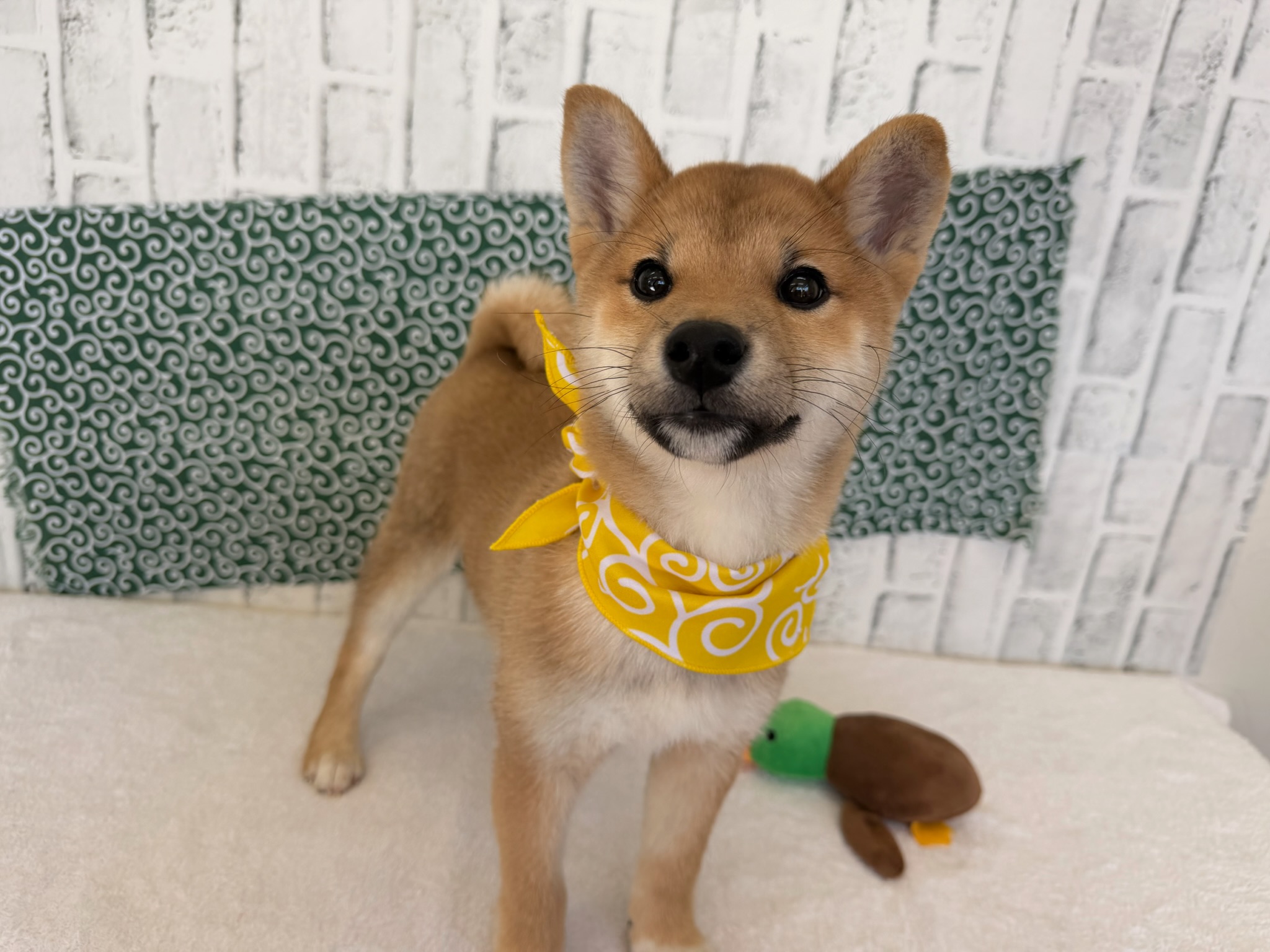 01469b057207933b75abd59668ff4862d3d4794311