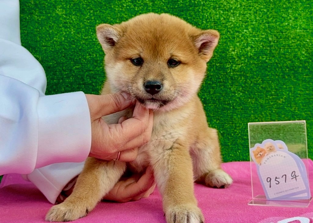 0153266a0d330f1e1c9f3dc28e2d1567ac2353f1da