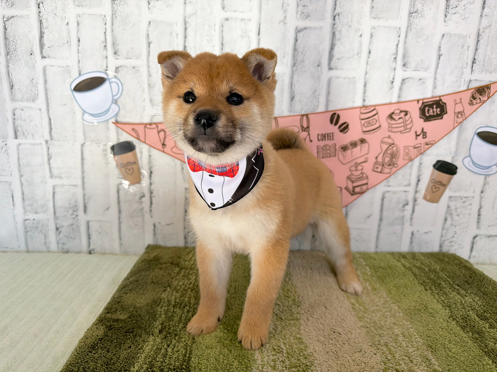 016005b6c74a65ed22a06d011e8319bd43798f10fa