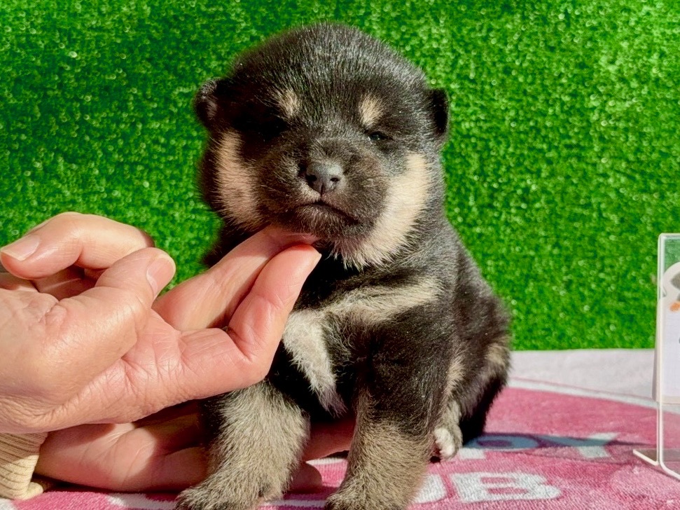 0169e87db00faa8abaae284e805be8c5454c9d76ba