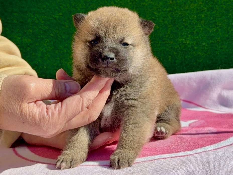 01dd4d6bcee74ca3e9a31b4944736c8e17c1c96f09