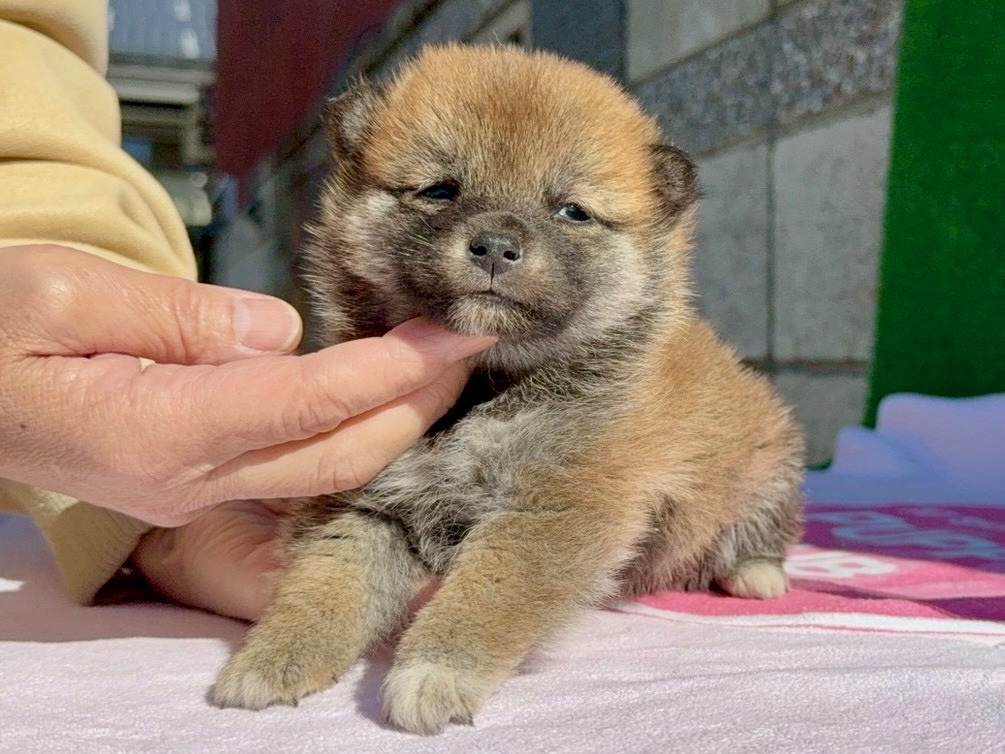 01eec4b644f5ad1a444fe5c5566d6f3c3eef1eb7bb