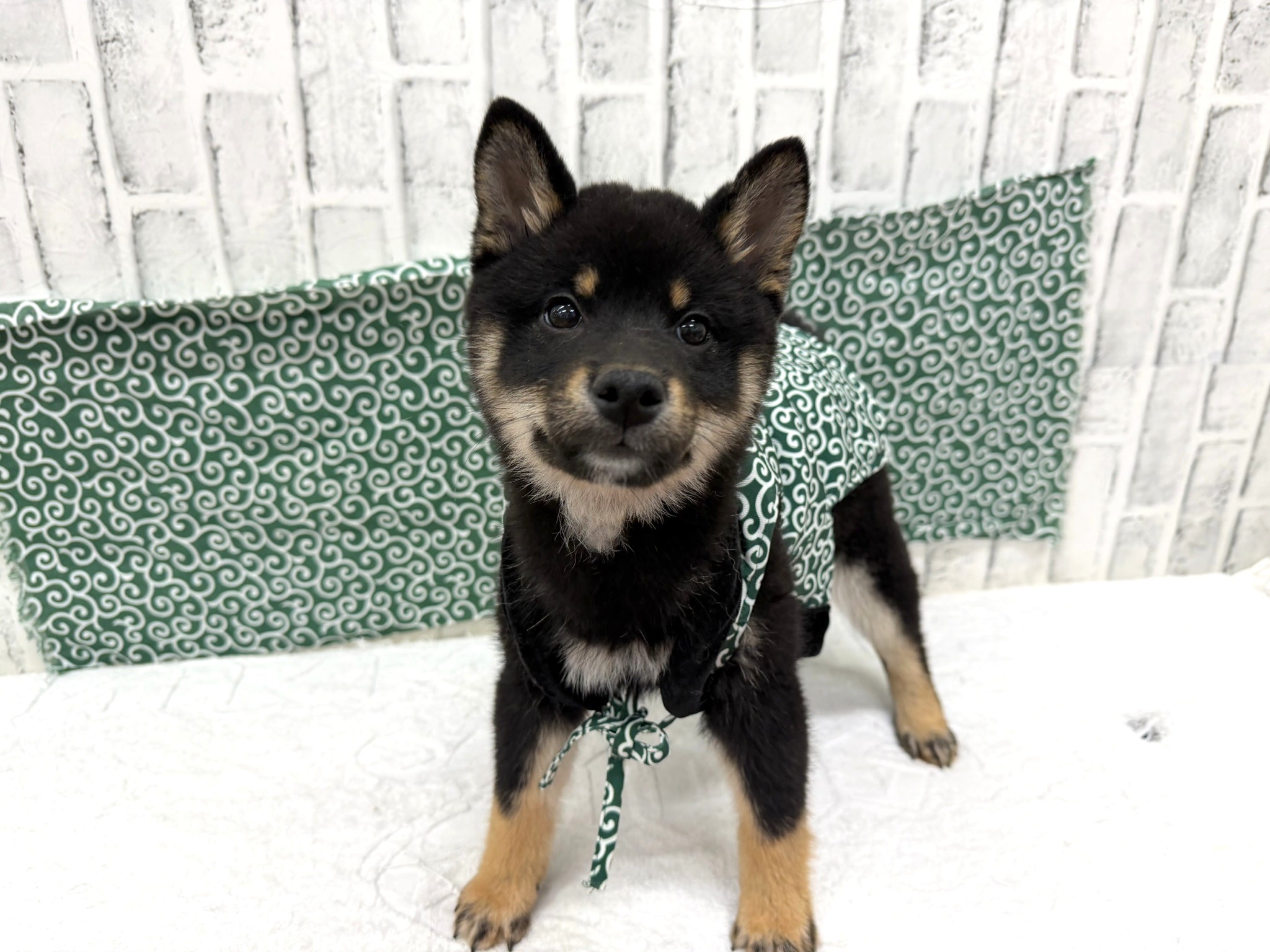 0103d76d60c290795da63de0c8ceab641a02fc0b11