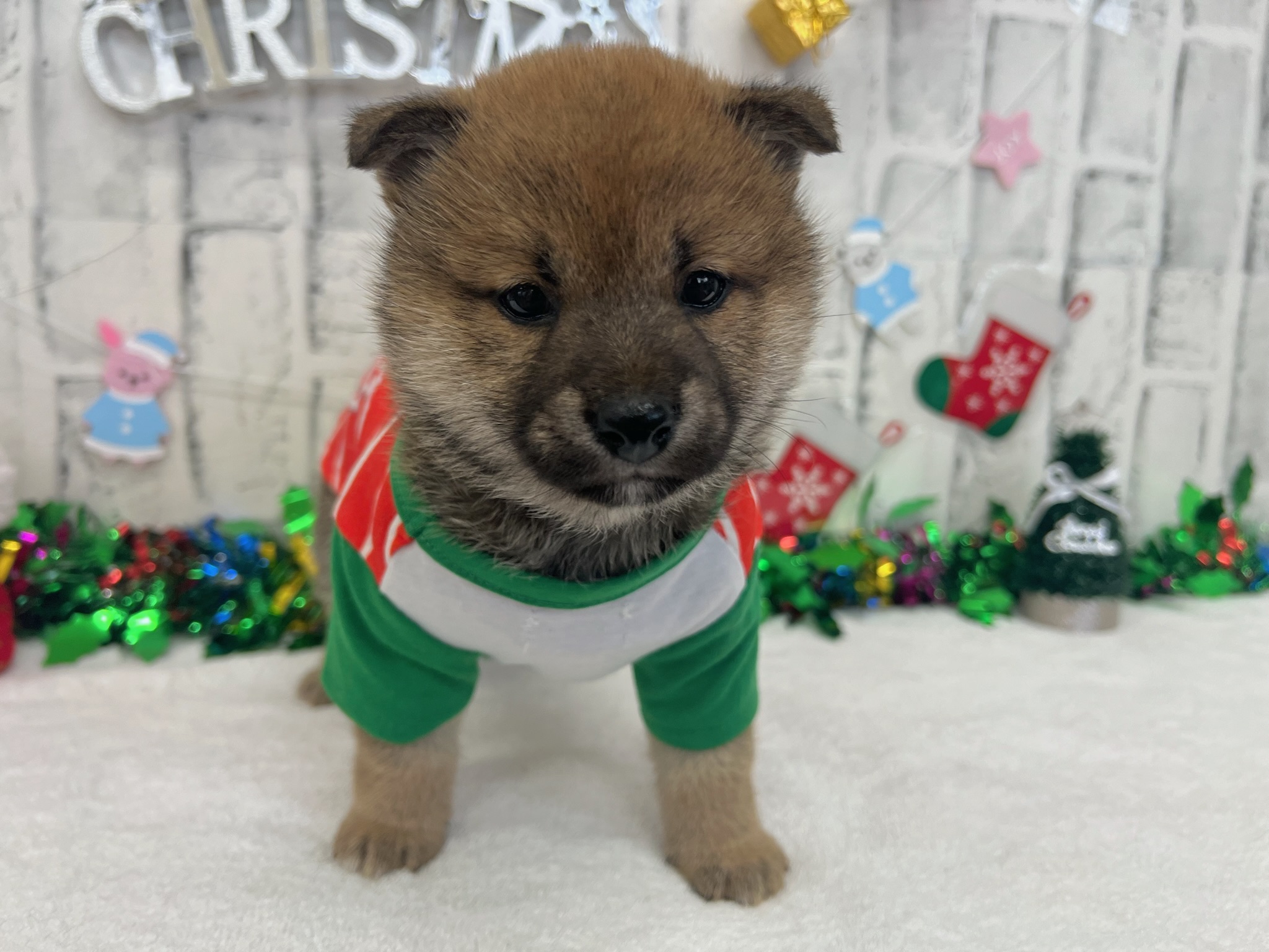 010bc7844d57ecb6f864ebfb43877f989e1c2e8dfe