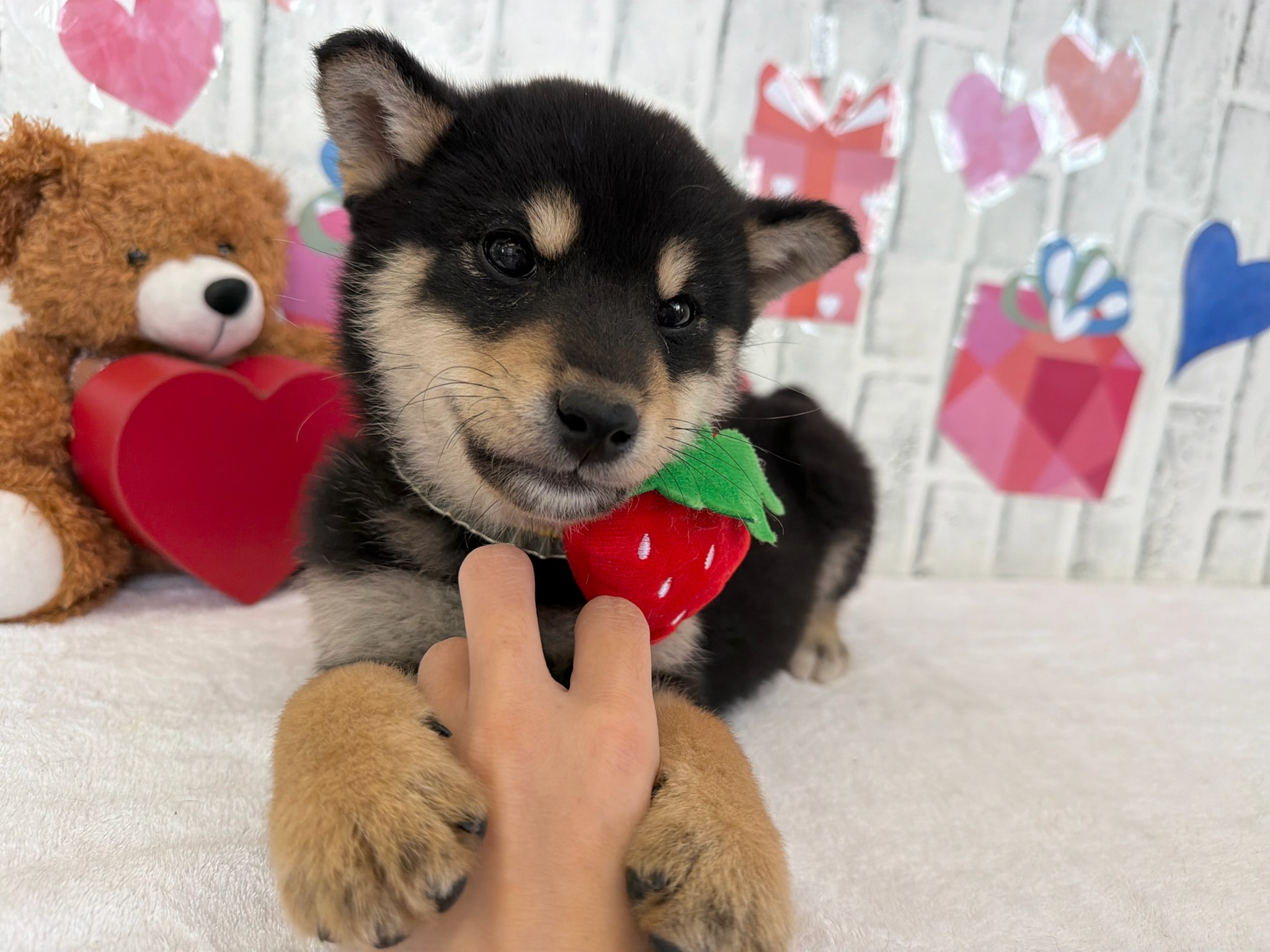 014e0107782736ca882742a0723668caed1f532f1c