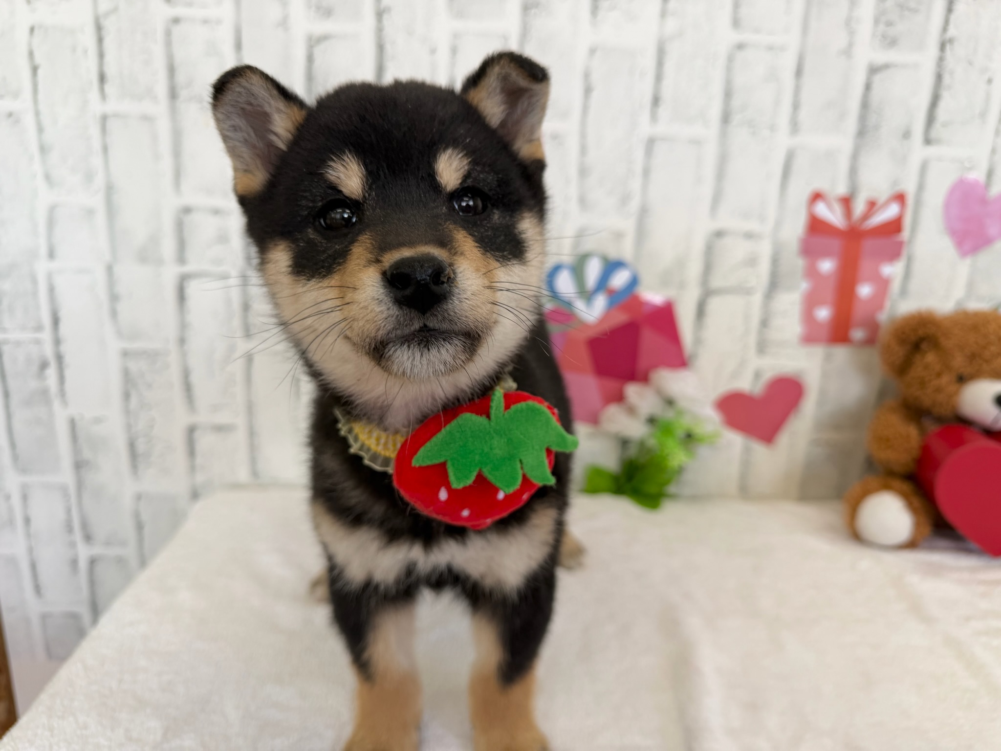 016059c712f73f9c569c45eff063e24e52e664ef11