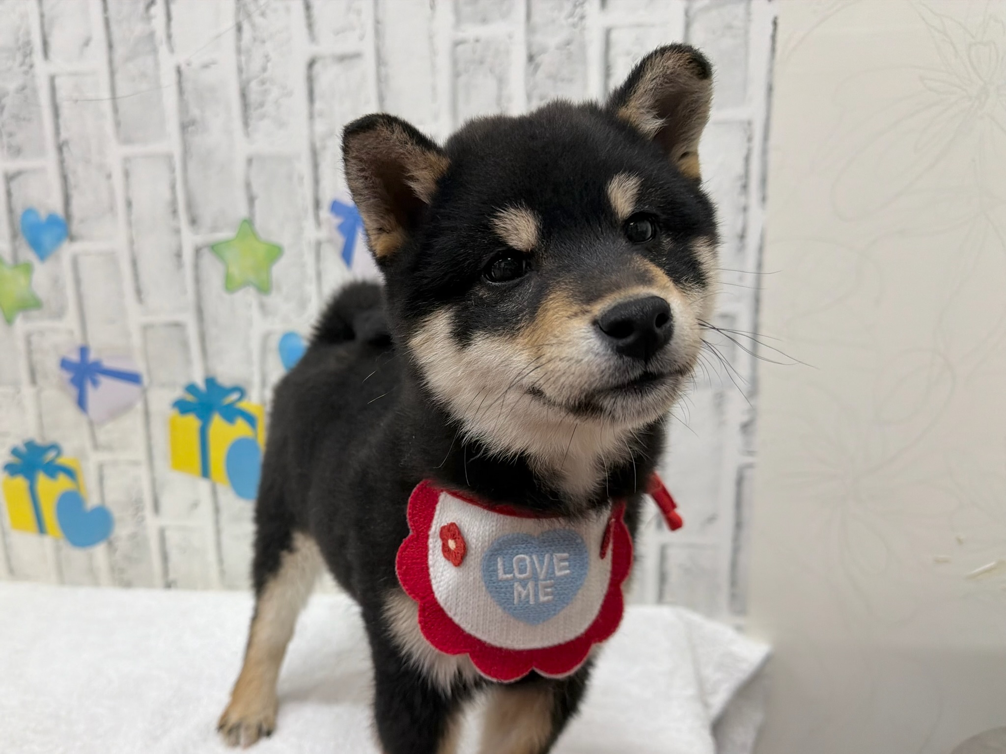 0167512d79a5c89f14d91e9d0a58dae96fa243432f