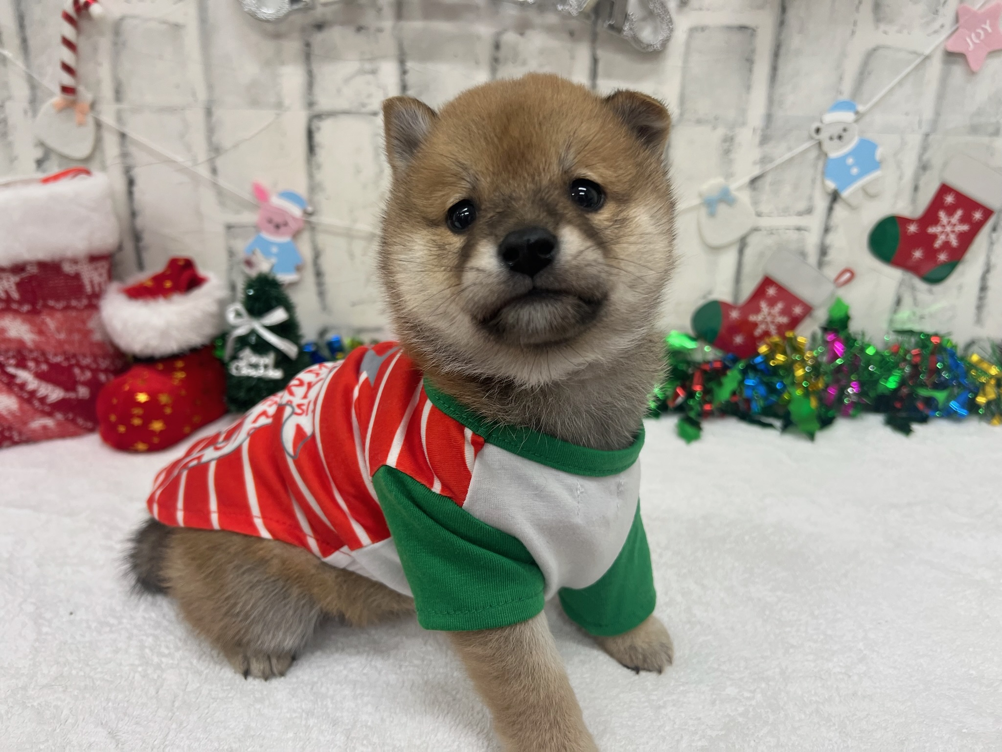 01f24f022a5952f2db06ad3a0a47c15bf113151323