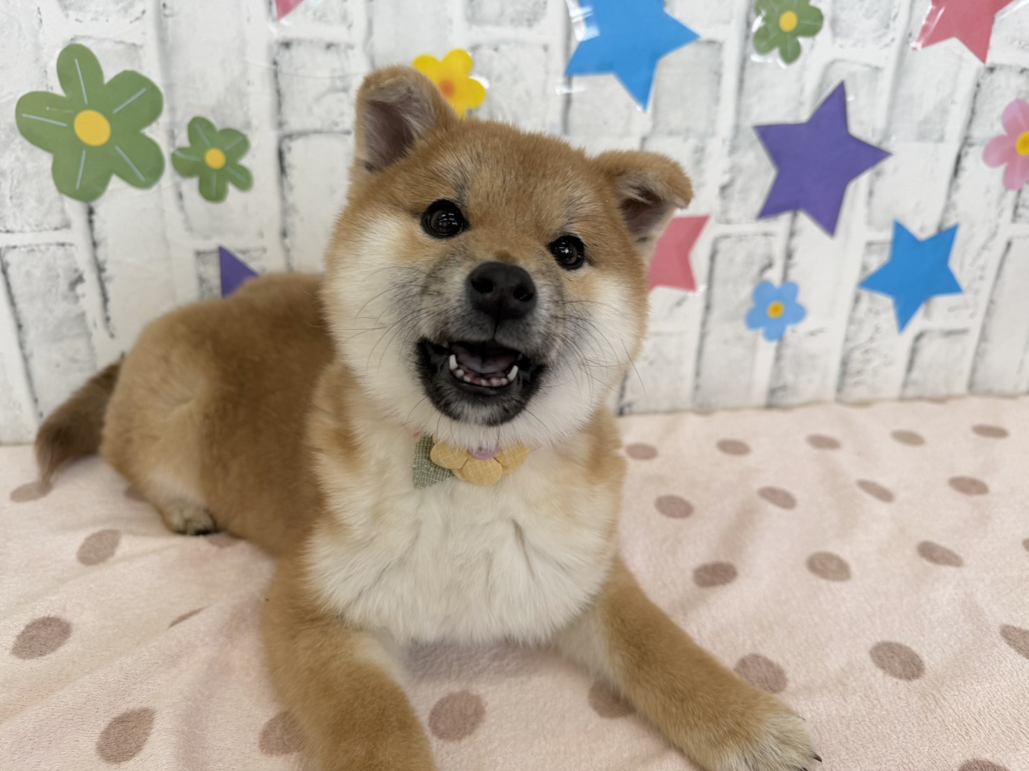 2ag1IAlFUOHG18ol5-HWt6K4Srrv2mOpJ9ZuImGKwwS-FJy1HWytxZndRDya0glgER0n7pP4qf3x6Osak8QNZRHeR28_MPuqfofZ5n_O5EZz5zd1BuEKs5zf_oA4fmxKkCPUNF5rJUTpUxwFl42Qjw==