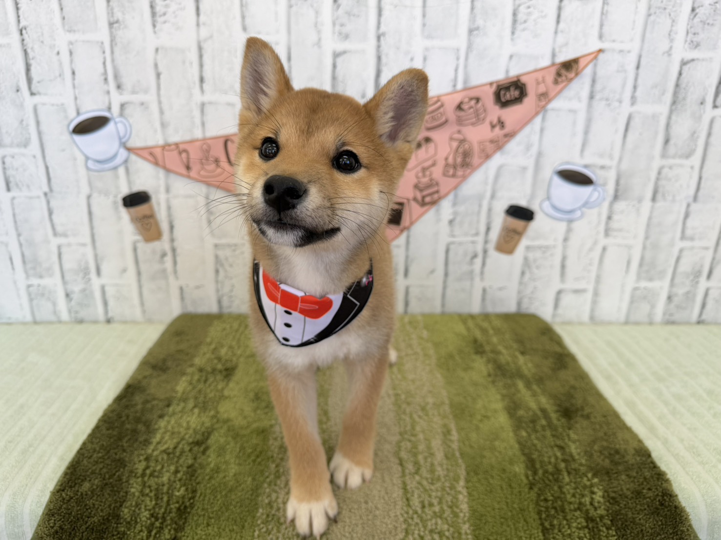 9b1Jy6dKKZ_ibKc98E6f3Ca59XZlv37Dg6L1sjEagLHwm7kEeR6QWtikIv5ttNtjo-vL3MyScd2_hI8d7xwTIpCKaIs0mM27AvIvtrNMaFZ4hgrz3B6QxvncowadBTXn6jNu5bRgUMkvYKl3YQCxcw==