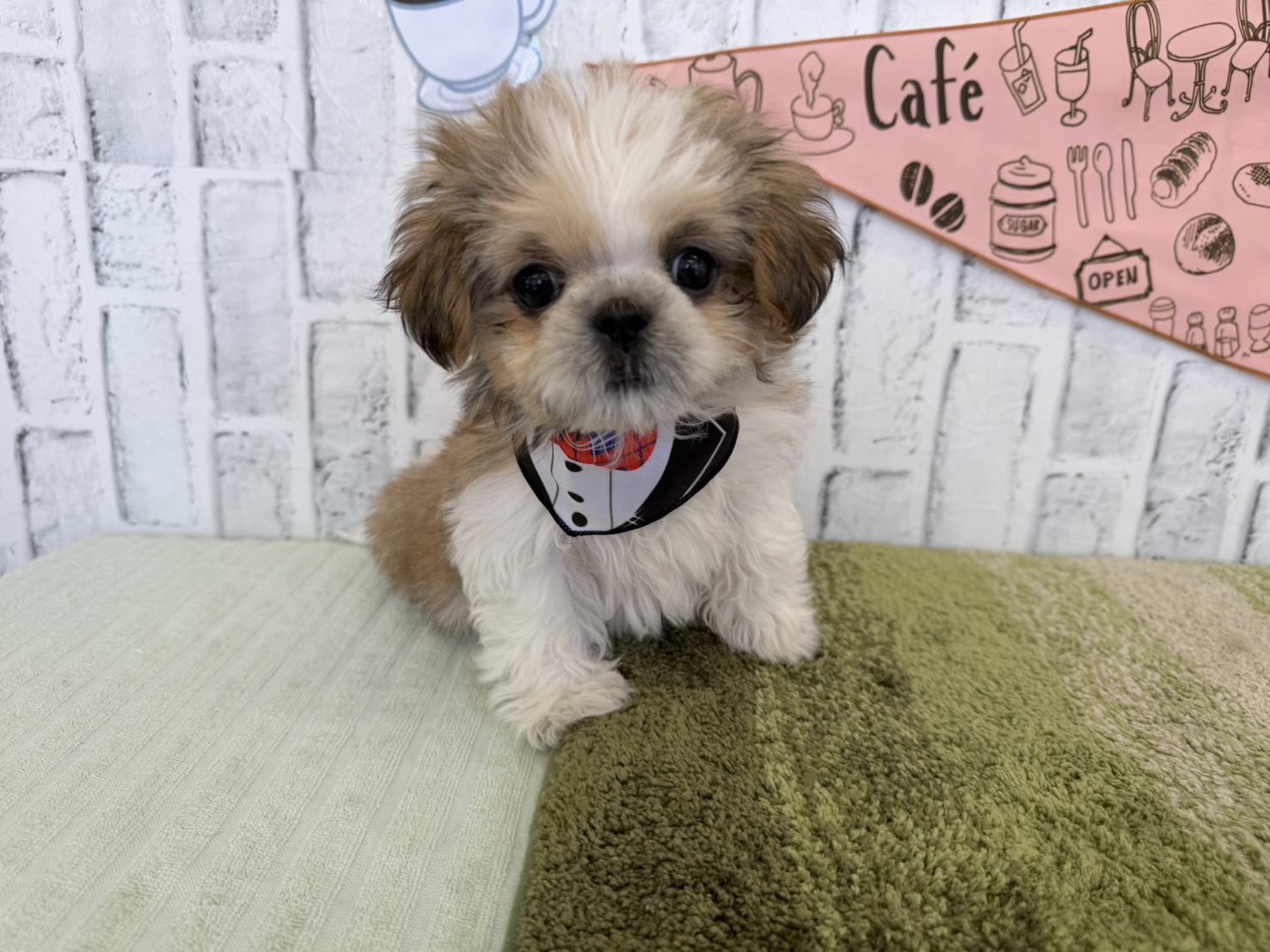 BziRwBmPo-BUQc1SqFDZQeldefPftNJRcDd1d7jTvPm10_p7_jU-a4_mp3TEq5K_jAqJnKYuf425qZTPtAPk_kqqi7ZmrKWMPUOD-Xs2QrP0qw_xUalqrG3PBuMBblqAz-l8wzGQwHLkU5ioxg2GJw==