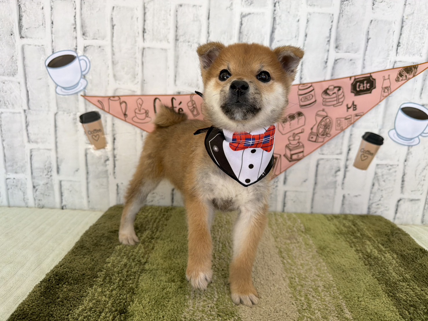 OQnUDfE7dc6wViBbEaMT3mt6sSlZD-FnyMUEZZoeUx7G5pFIW4FljfvPb1GfGW3siMmbmMxbmLmE-IfvzZy67LjeTbp1wuK1Eyjl_bId_9tExGmstxKqXkmyG1BG7B-YdWH1GW1Hzzc1ZjJIrpDCnQ==