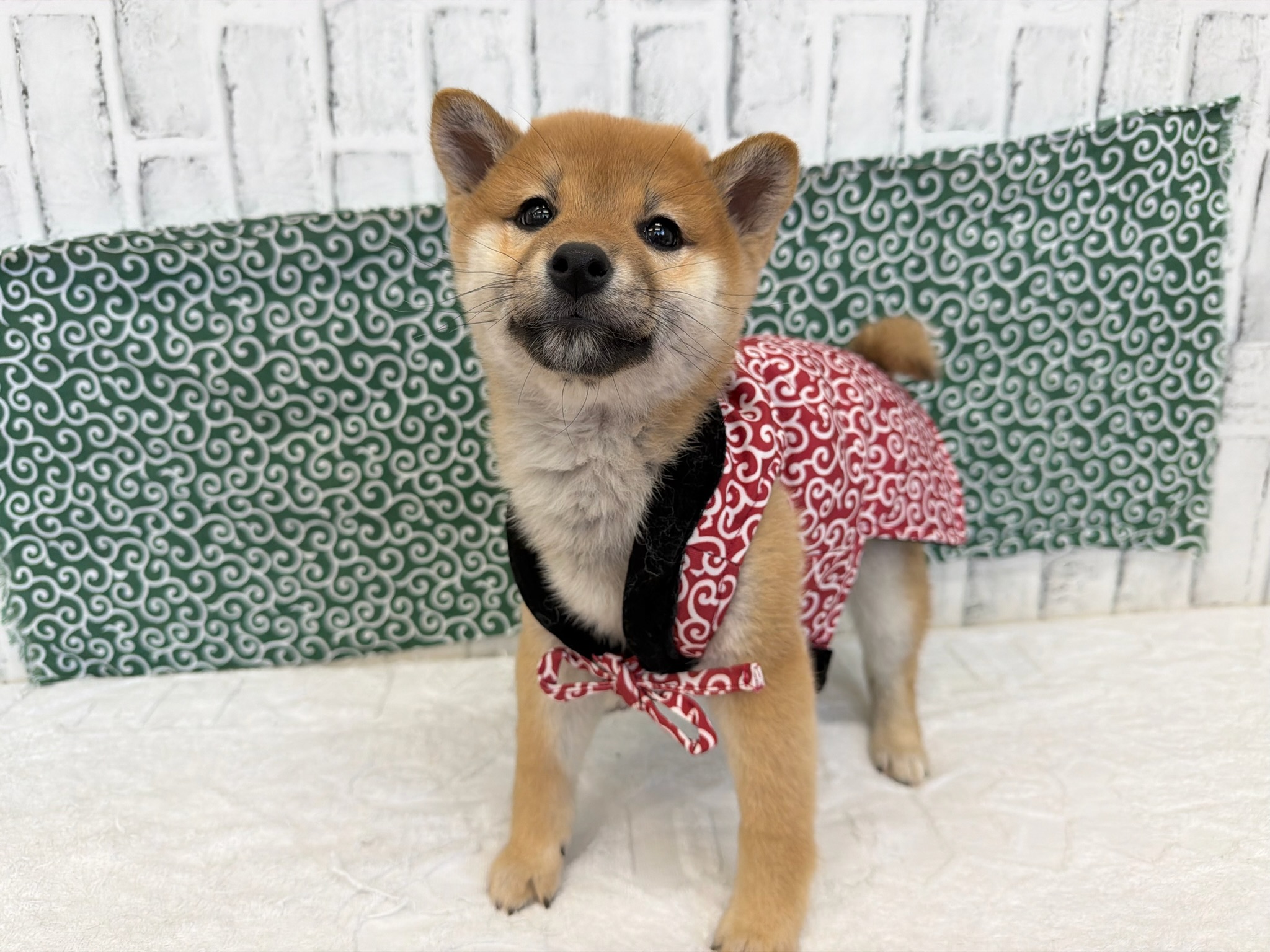 0118ca01accf9fee06bc490a2c15721c843f471e93