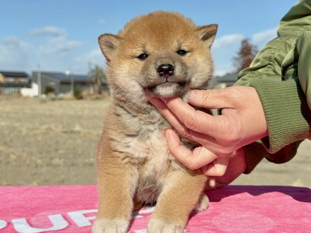 011f2a69db55404265851c1d77c72ca08c100ae8d6