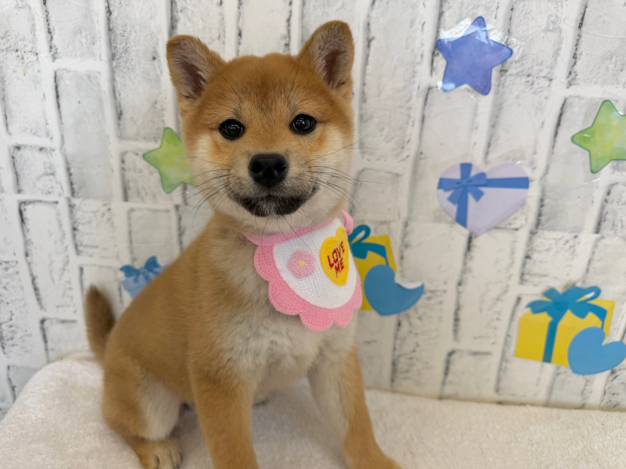 012421b2309588d3c19f239d2d92b4d71d382b9856