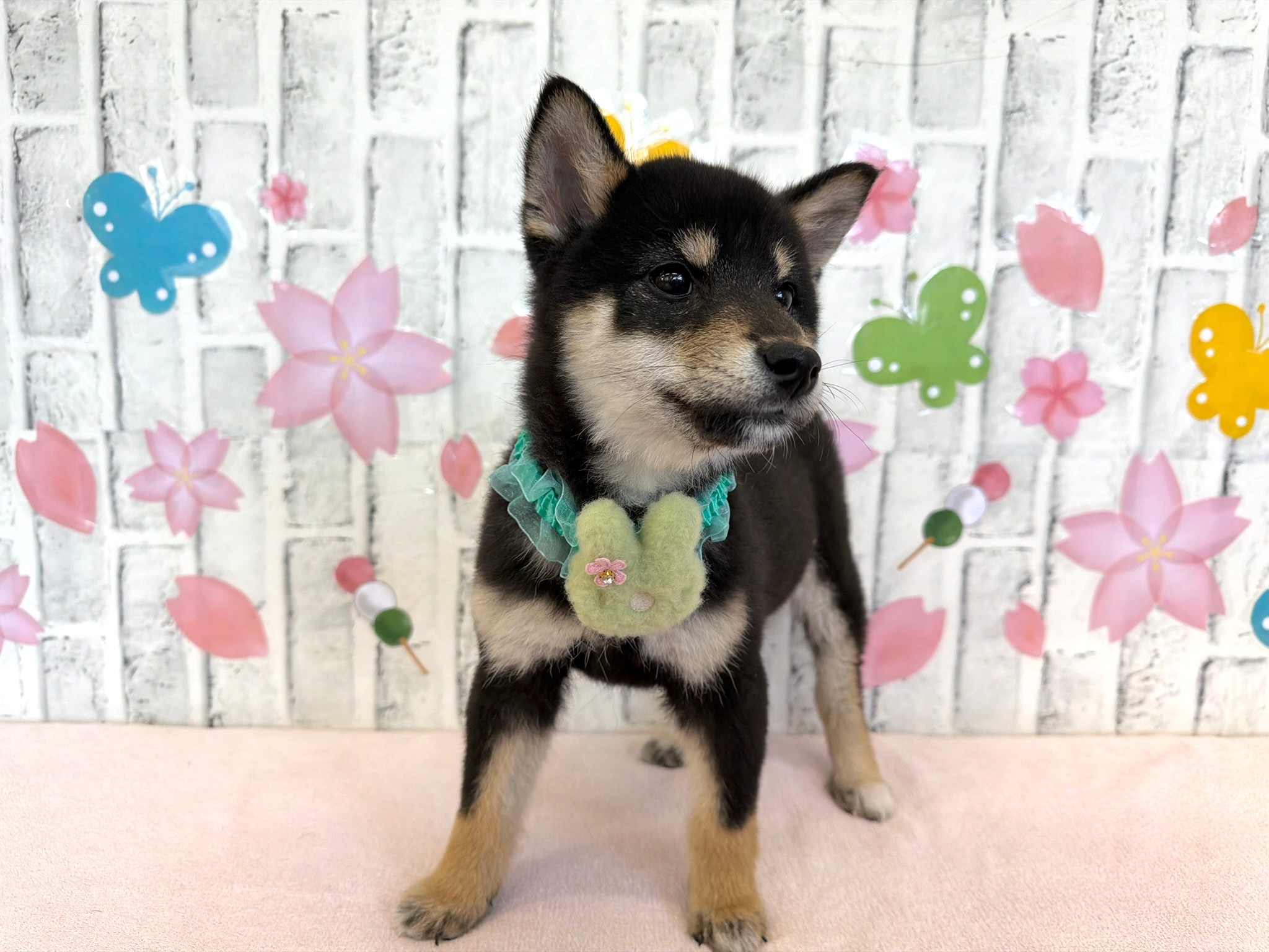 01467a740426449cd3f488080b1a0637eb2ad096b9