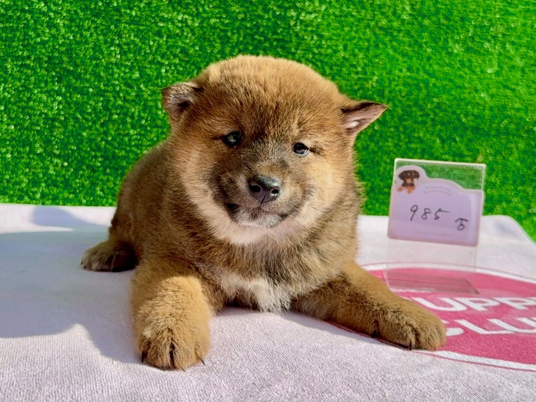 0166faf5a7f674ae698825c9b2d7b755e24c348b74