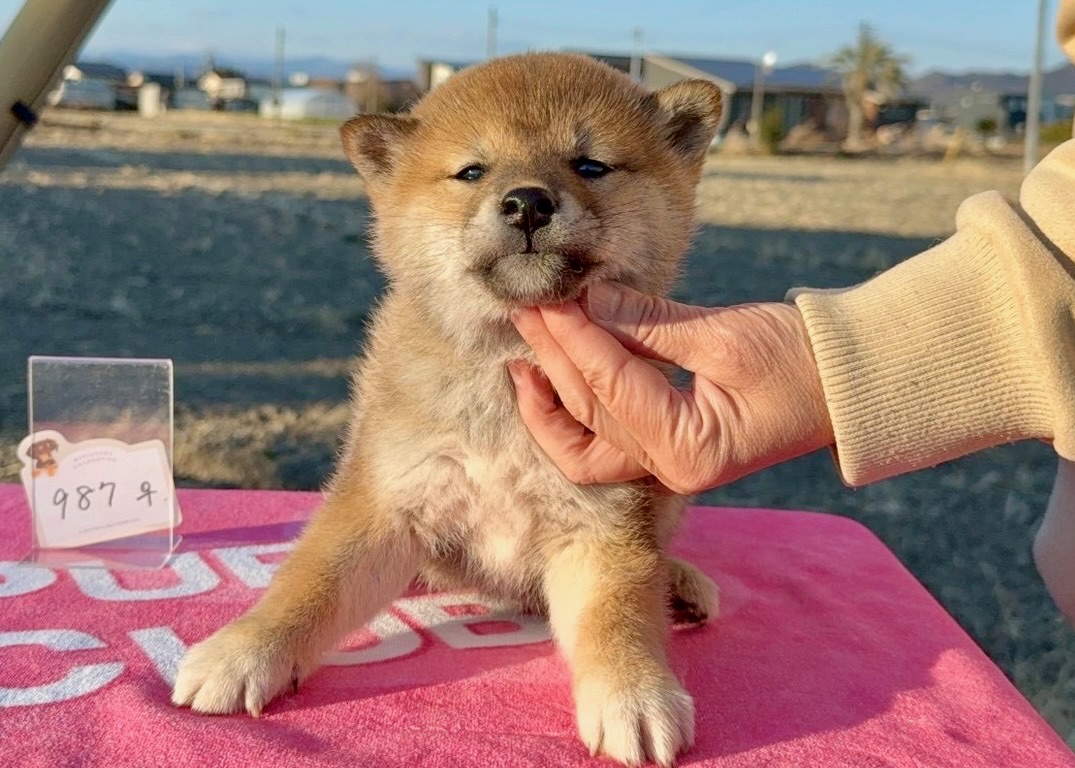 019b0a83f007bce5a8fa2f9be1e653475cb702f4a6