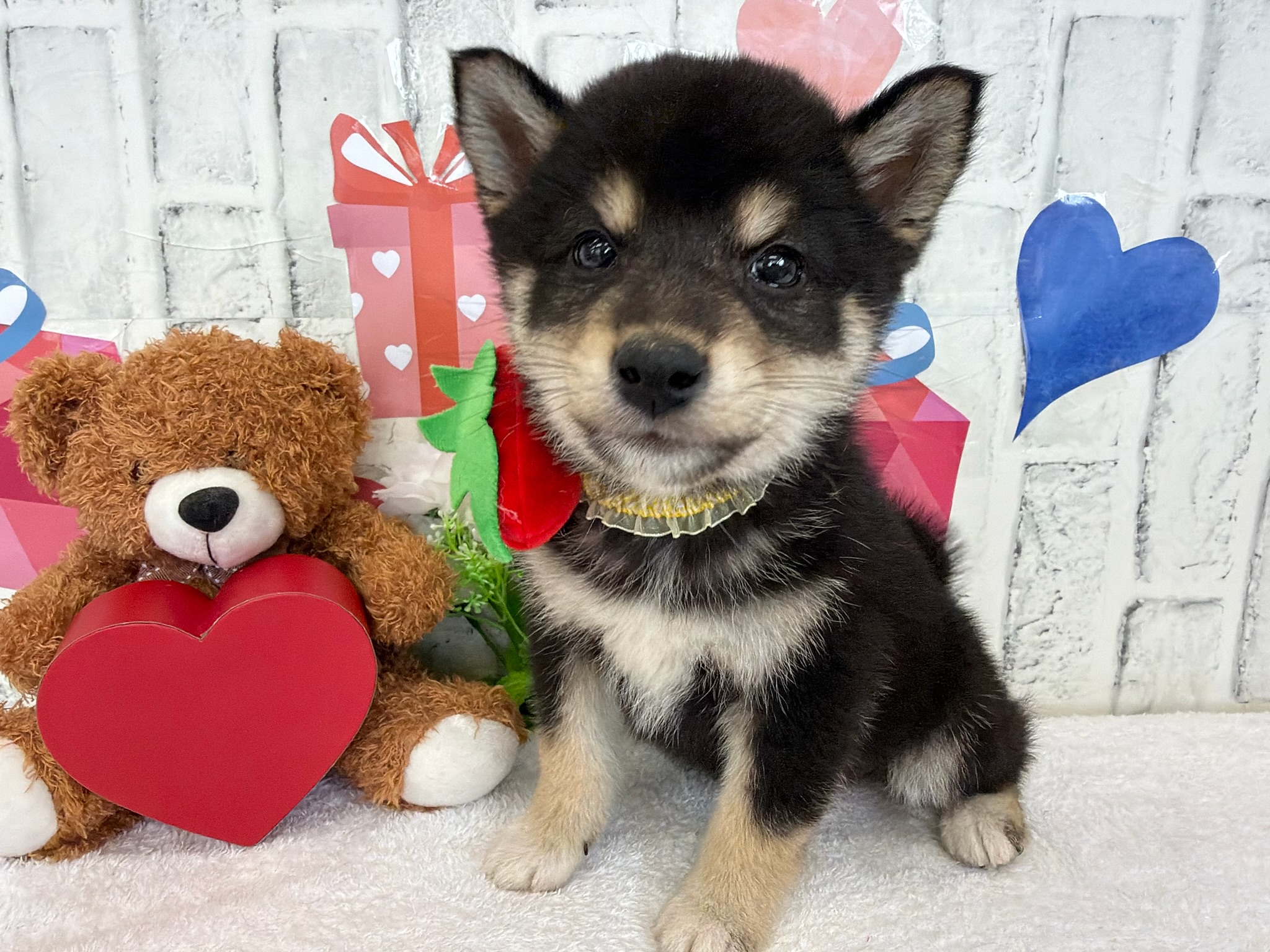 01a98980a12efc56230353c17a6576b0cf1b7dd4d1