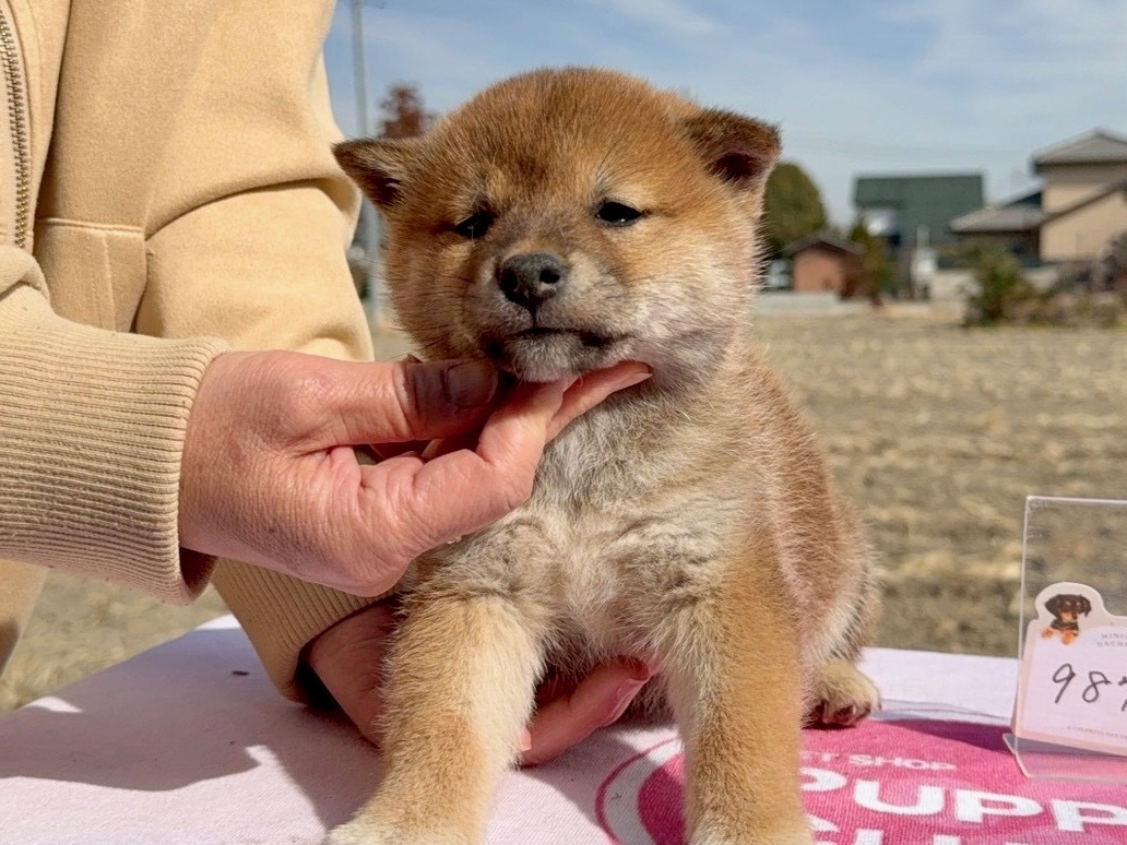 01aeb23a45072bd8bc0447d91c1b1aa0dded653c62