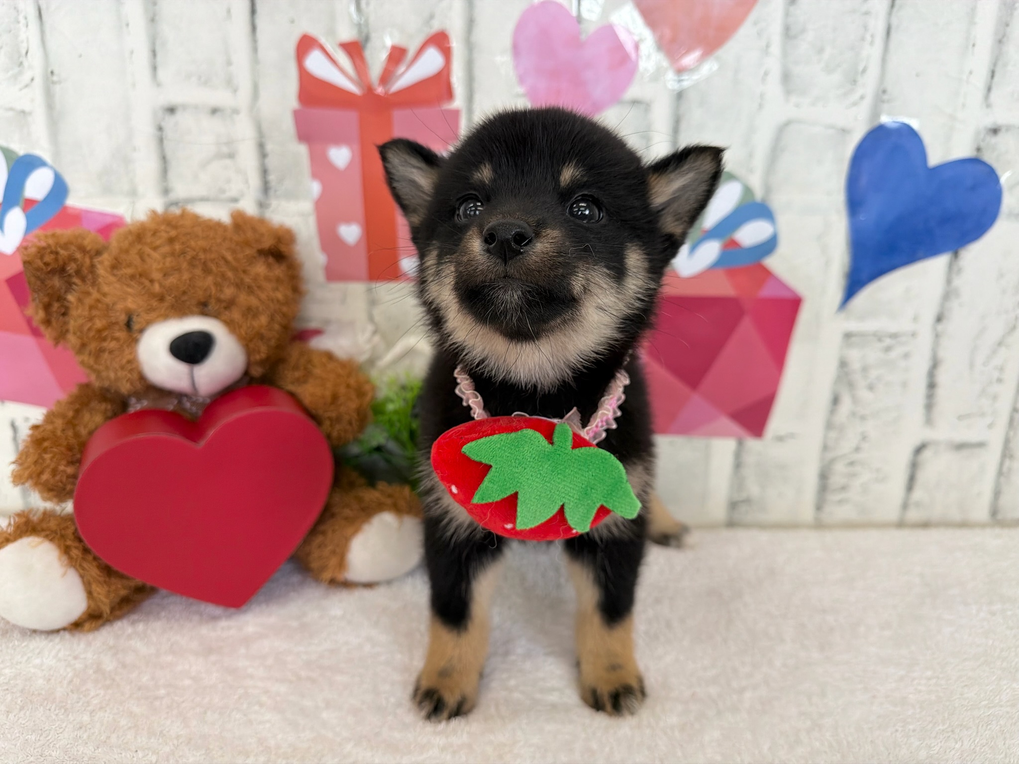 01b5896bbdb64be7f37cb4f50cd0d7acb435874fb4