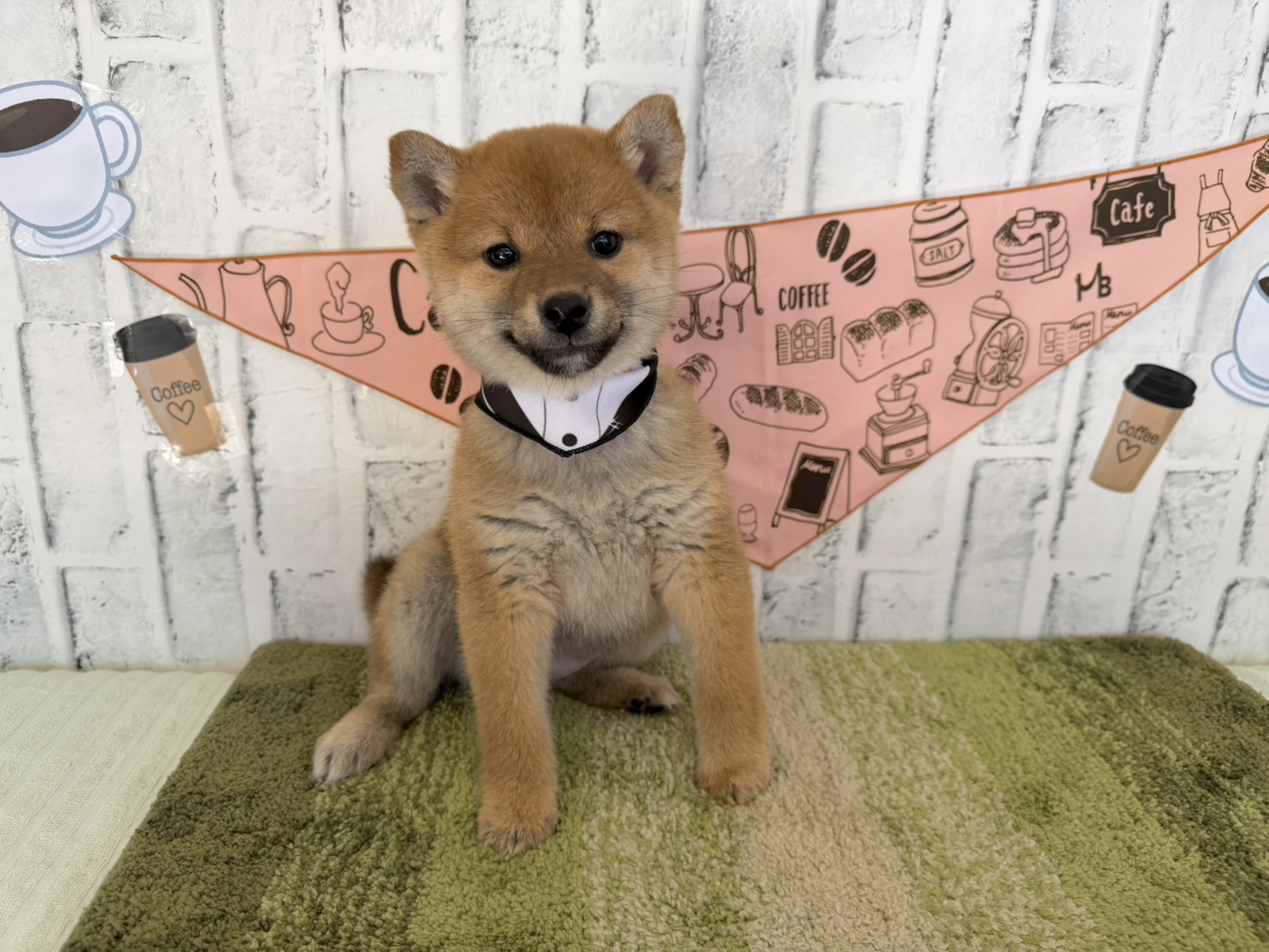 0ziHh2Q2rzGt_NAud007QyZGdkxYYmo-zPwjHWwCC9OKMjgQzyrNLGn8Ox9sl_jYdL4Iq4Qvvbq0UN2Bs9Vufx-ZGqySeidXY-nYu-MbXQOoYW6BDLh5nx9Qwwp-xjJIQQq1-WG3eFy_I7uXKcbEYg==