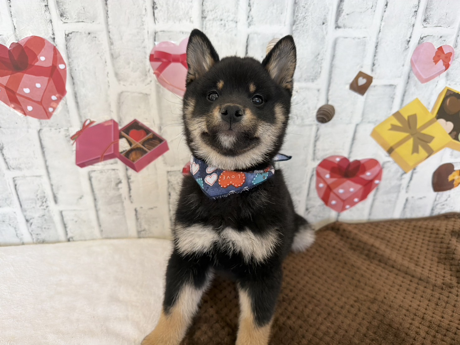 5YD2MbPmCo2EjPiskI2hbxRcwZSkTjjTKuDRcd9uD1x2ZR_lvC1ni9N25XiIBWwgpcmWg-L4Ce-PzbaIcY9ryh34gsWR6KwJPXHLT6L3N5PzPoGJmtcXnyXSvlMyQK3hz-l8wzGQwHLkU5ioxg2GJw==