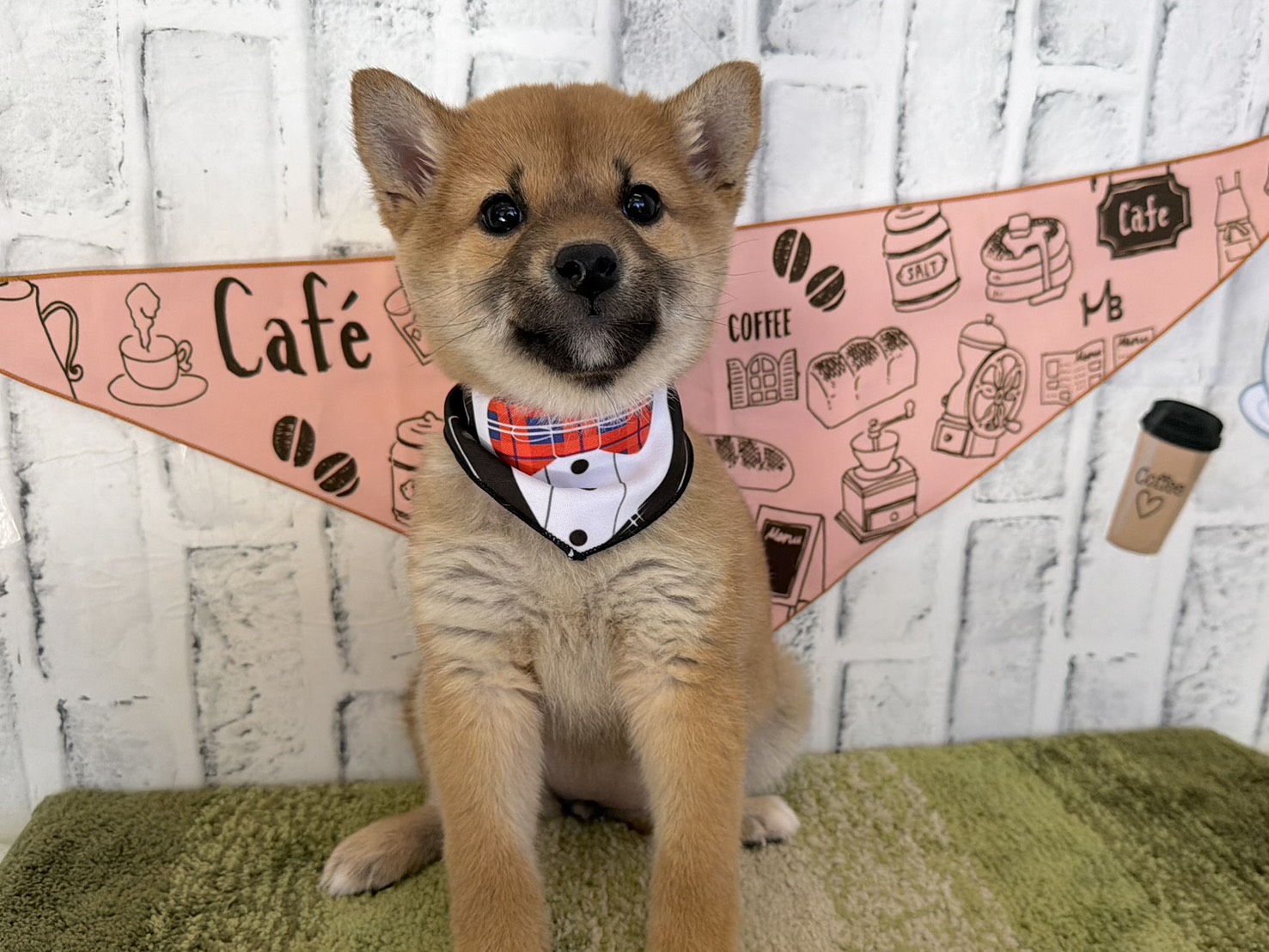 K9x43jkjN54VOkLXRkW_JmEFhhHf-2UpFWxygROKKFyZXt59zS0HKczQwpzXL4Zn7ARVaSgnK42fz0PNoIfbcFWuAqdOXmJTyZnLBb2LfzCOb51pXdNMtuo2q8Rm_00ZCPs1Dl06N9VAVlxHgFo47A==