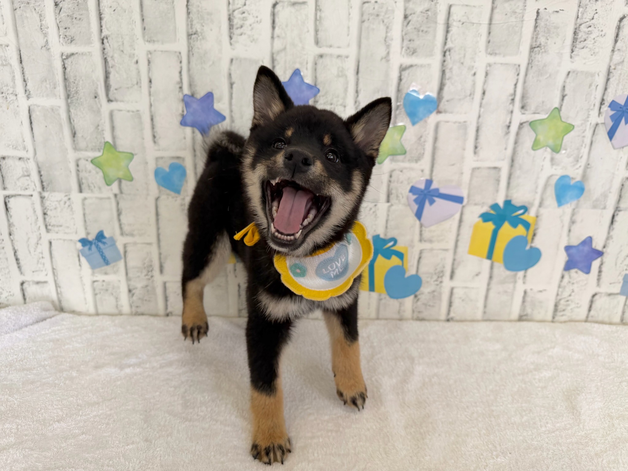 iDSRRlF1Vw9-S4kP0AjE-P7YRUpYn-2PpYNJMuWGCWUH4dHESNwozArj_HBBNrz-DyyMR2GNvrRmpZN_Locr6bymKVFaBwdQlVyv7Sl_wOJ-tpXThD5gFlejfc0RjwQAPGAWgRoNfwFFSQkqTkXAuA==