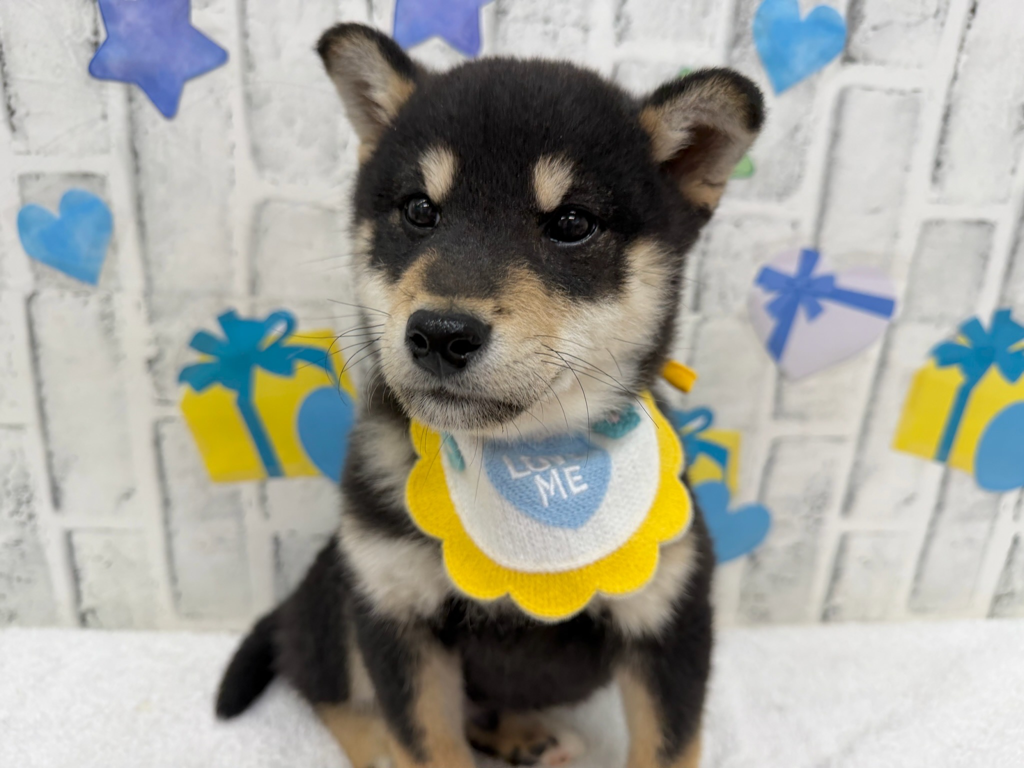 IY9_bAtA0IlsThwl167k3z-uSB-GhJwBS5HXYONkFUr-563uVdaevRA47S73GqZfxJobZbcSrQ-dSium7CEKFzYqAKfcPPOuRlySbZLzHFs8Xqj87PIUjgsWWJJgYYdcCPs1Dl06N9VAVlxHgFo47A==