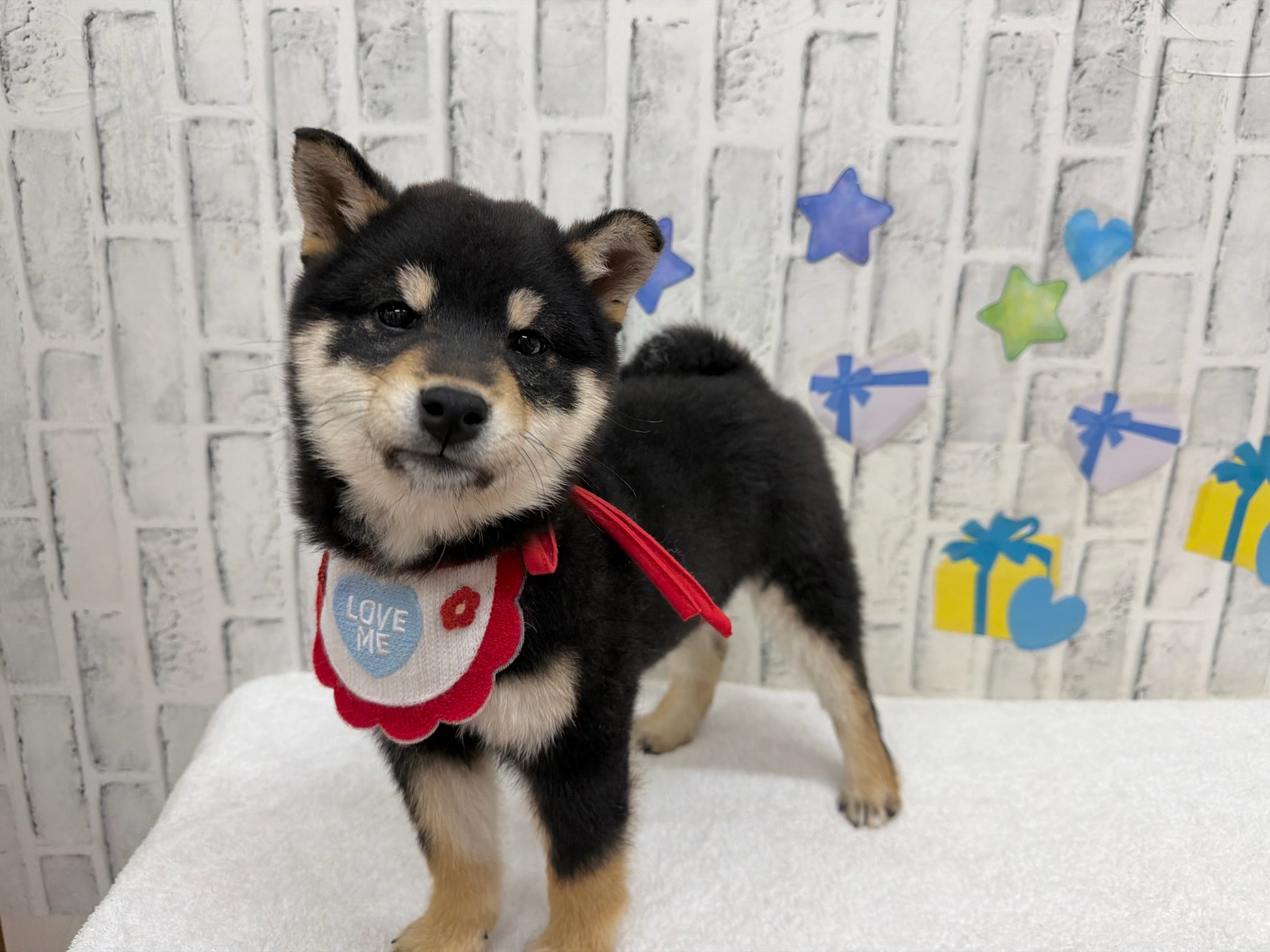 O0j9gfgze9fGckoVWE8Rgqrmdewlnr4BdqThqZxqOZJTCGnouxKeX_77Wvv9vPWdG_CZ1H2Hqd4b9Fmxsbh0iy9rLvsq4NlXS7Bx2mk06UkS3Ap3b5ufc68UZsL4OiuXPGAWgRoNfwFFSQkqTkXAuA==