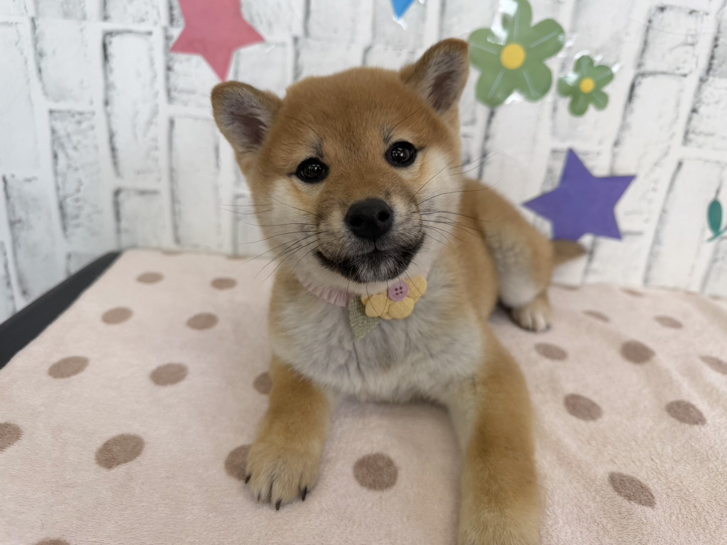 SkKiTPNrhYD8oQi9SDF3tHSR4bddtlp9t2BOyKfnei26k6hzfbJRO7EJ8NVM8UrP00cl1f-6mulDwLMeKjKev7b4IAtXLIin_OGX1oZwNlmRZShAjiLpC2PN4NFyE9bwkCPUNF5rJUTpUxwFl42Qjw==