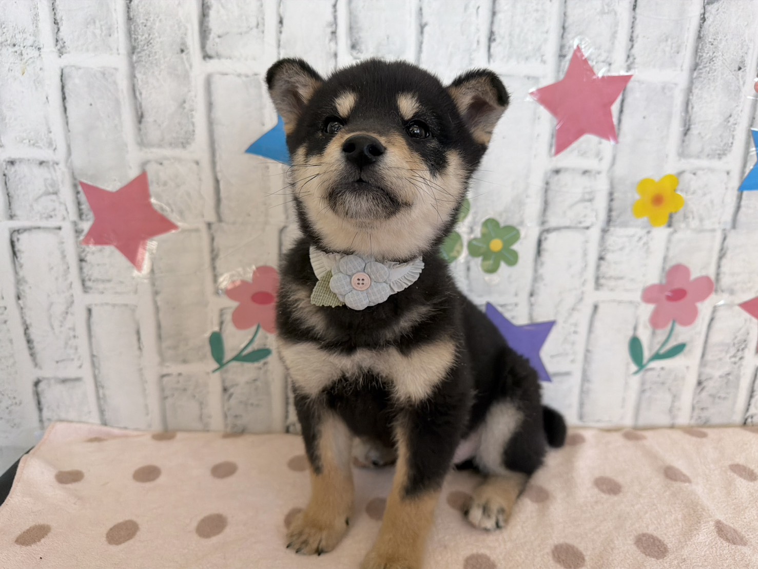 iCY6J5iYa0rB36u01AfTY2kSnuZX8kt2NvZmil5F43AuJhWkt6-C9cBy1r6YyZTYdyDGBN9qP5Lmso-FtMkDtyjSPGCcbuO36kHB5rNh7Fs8-A2m1F5kEWOY1HgDugQsQQq1-WG3eFy_I7uXKcbEYg==