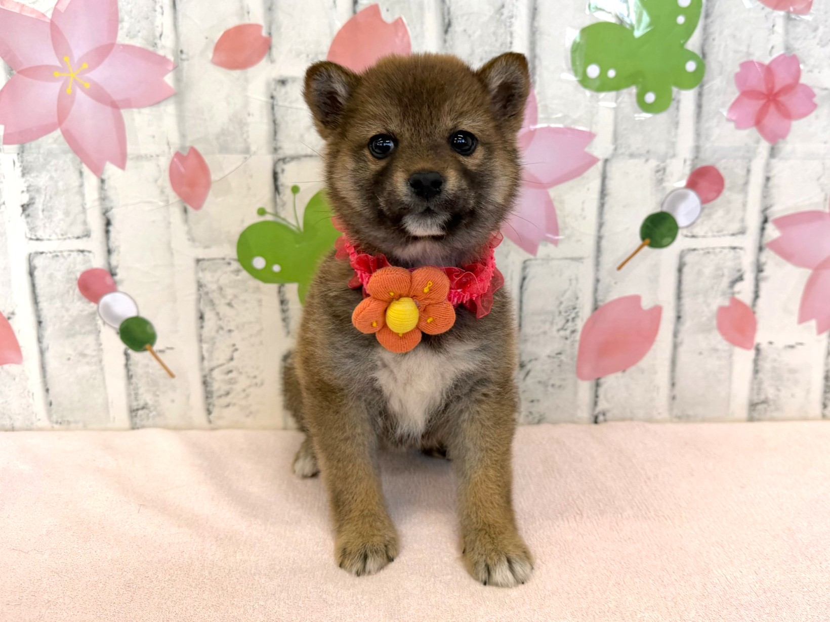 018df2e81a9d043218ad33cc42f5e99193e62f99c3